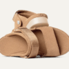 Goldenstar Glide